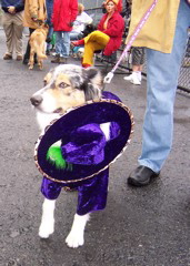100_0365.JPG